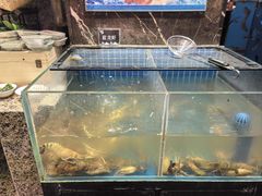 -初色海鲜自助(万丰路店)