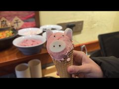 -谭鸭血老火锅(万象九宜城店)
