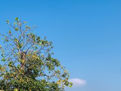 -DOPAMINE多巴胺·甜品面包·生日蛋糕(国贸店)