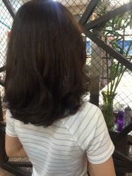 点击看大图 -木马造型