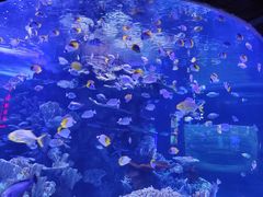 -左海海底世界