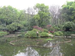 景点-湖南烈士公园(芙蓉区)