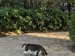 -黄兴公园