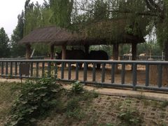 -石家庄市动物园