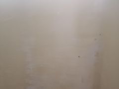 -菲迪科尔墙衣(集美家居定慧桥店)