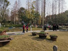 -成飞公园