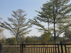 -长洲岛
