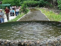 -太湖源风景区