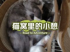 -奈雪的茶(时代天街店)