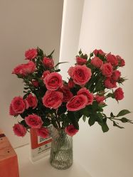 -苑苑vbeauty科技美容SPA