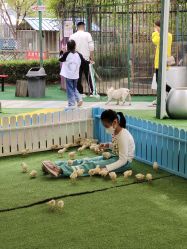 -萌宠亲子动物乐园(槐房万达店)