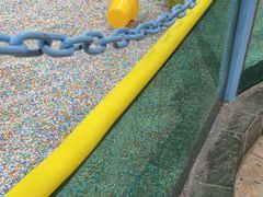 -上海大自然野生昆虫馆(东方明珠·爬宠昆虫探索中心)