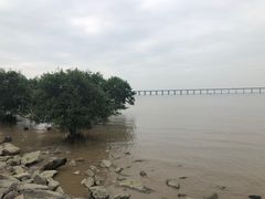 -宝安西湾红树林湿地公园