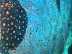 -沈阳海洋探索中心