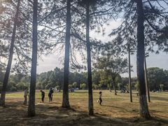 -艾溪湖湿地公园