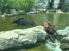 -北京野生动物园