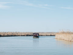 -宁波杭州湾国家湿地公园