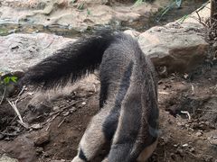 -长鹿旅游休博园
