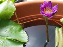 -维乐口腔医院(星海湾分院)