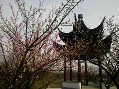 -林屋洞景区
