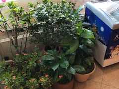-申德勒食品(宾都苑店)