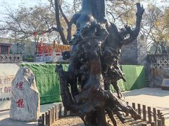 -大槐树寻根祭祖园