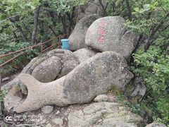 -吉林市朱雀山国家森林公园