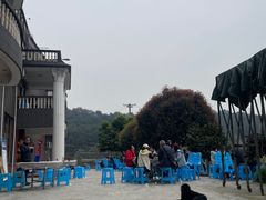 -金水泊山庄·花椒鸡(铁山坪店)