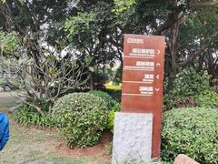 -五缘湾湿地公园