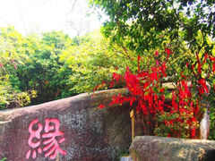 iphone_upload_pic-逍遥谷景区