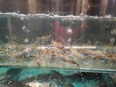 -滋粥楼·顺德菜海鲜茶点(金融城店)