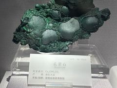 -湖南省地质博物馆