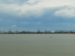 -大湾区中央湿地公园
