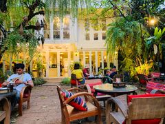 -Fern Forest Cafe