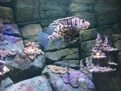 -成都浩海立方海洋公园