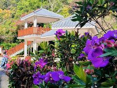 -火炉山森林公园