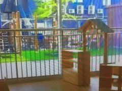 -天津蜂巢幼儿园·托育