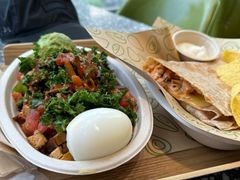 -油梨树AVOCADO TREE(望京店)