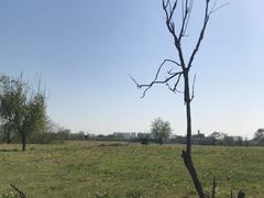 -汉长安城未央宫国家考古遗址公园