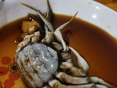 -红灯笼龙凤饭店(宁波老字号店)