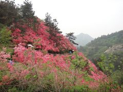 -木兰云雾山