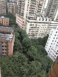 -重庆医科大学附属儿童医院(渝中院区)