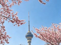 -裕龙汤泉