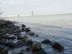-上海吴淞炮台湾国家湿地公园