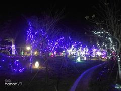 -江门古兜温泉小镇