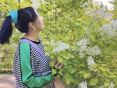 -黑龙江省森林植物园