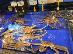-船歌·鱼水饺青岛菜(闽江二路店)