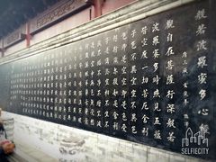 -骏途旅游