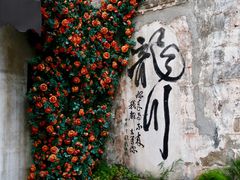 -绩溪龙川景区