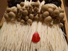 菇菌-快乐小羊·内蒙牛羊肉火锅(流花中心店)